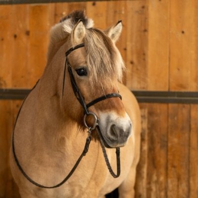 reg-2-equine-mona