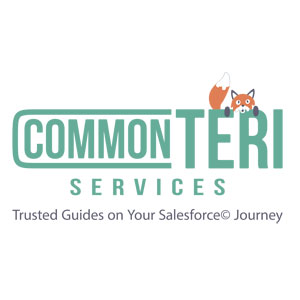 CommonTeri Services Logo