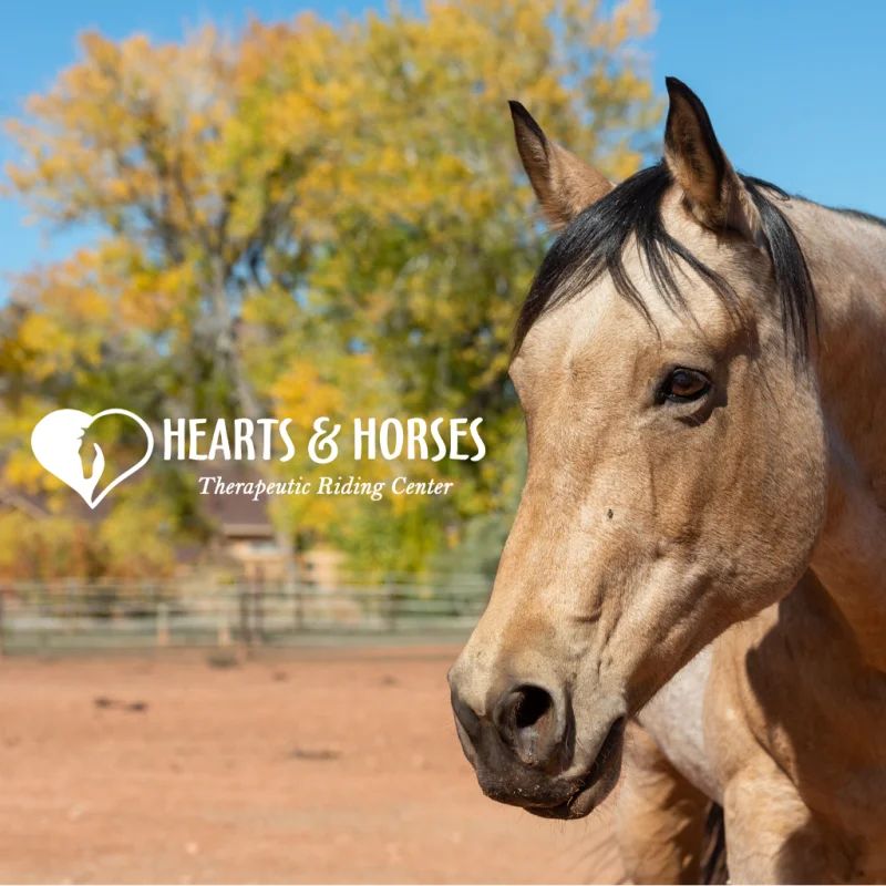 Anonymous Veterinarian for Hearts & Horses, Inc.